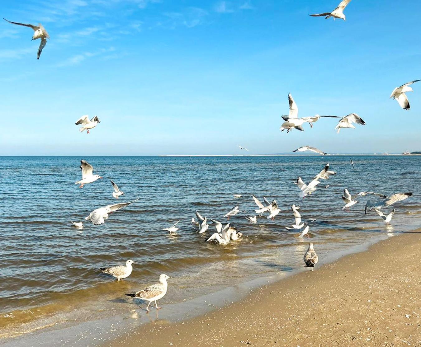 Visit Baltic - Rezydencja Sienkiewicza Rs1.07 Świnoujście Εξωτερικό φωτογραφία